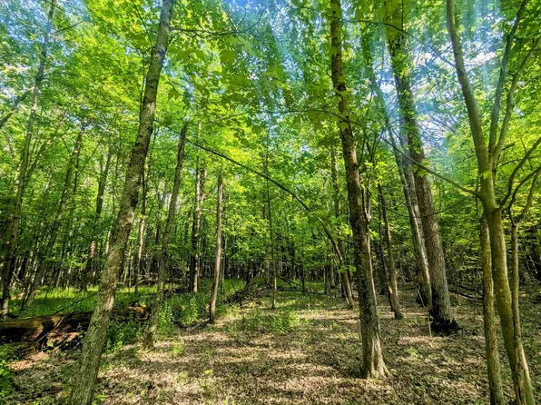 0 S Badger Ct, Arkdale, WI 54613