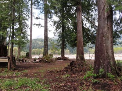 Cedar Grove Rd, Randle, WA, 98377