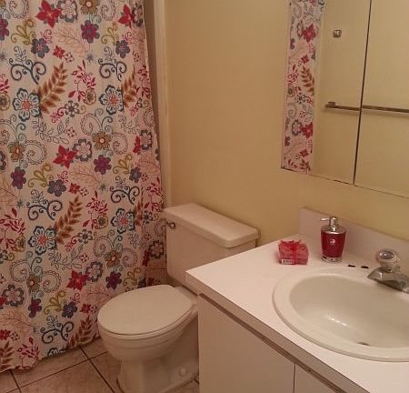 4th image of 1105 S Flagler Ave APT 607