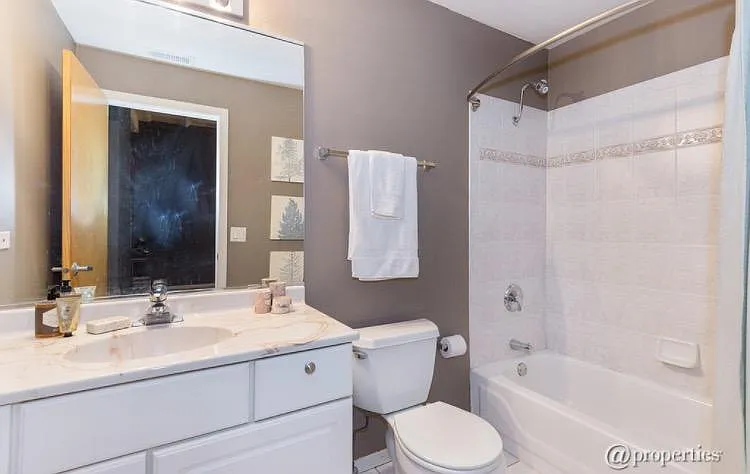 1307 S Wabash Ave #202 — Photo 9