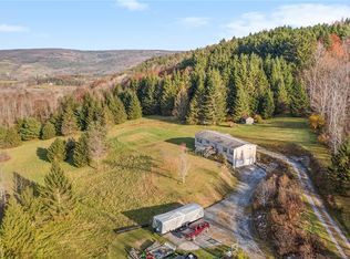 204 Kramer Rd, Middleburgh, NY 12122