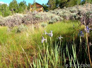 254 Antelope Rd, Leadville, CO 80461