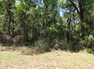 1039 Orchid Ave, Inverness, FL 34452