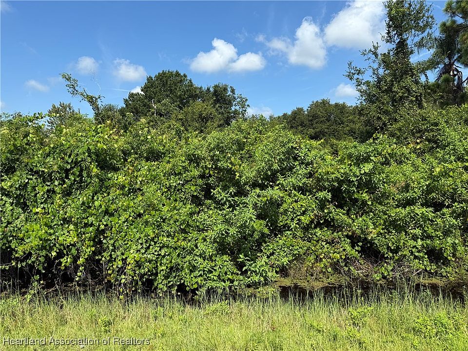 2nd image of 1025 Lake Carrie Dr
