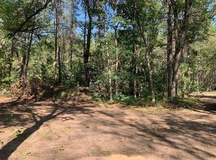 2091 S Astor Rd, Baldwin, MI 49304