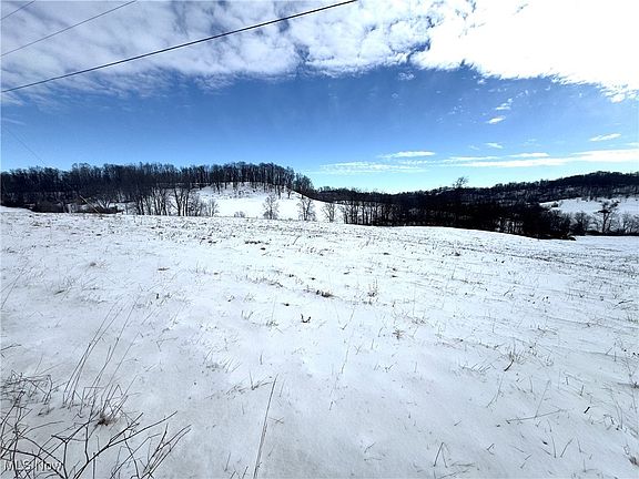 4th image of 1 Williams Rd