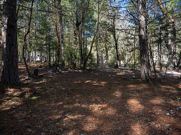 3rd image of 450 King Mountain Trl