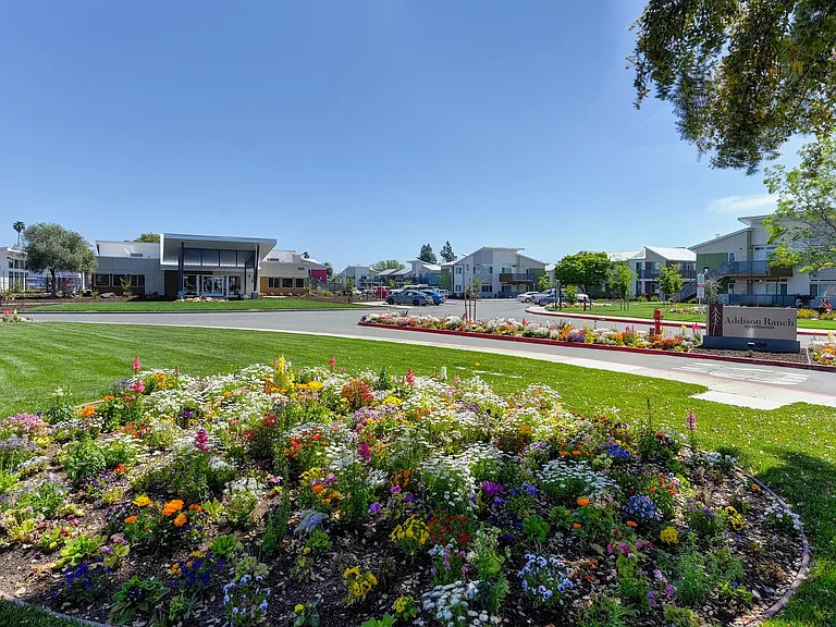 Outdoor Space with Beautiful Flowers