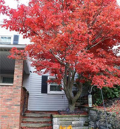 4th image of 38 Marylea Ave