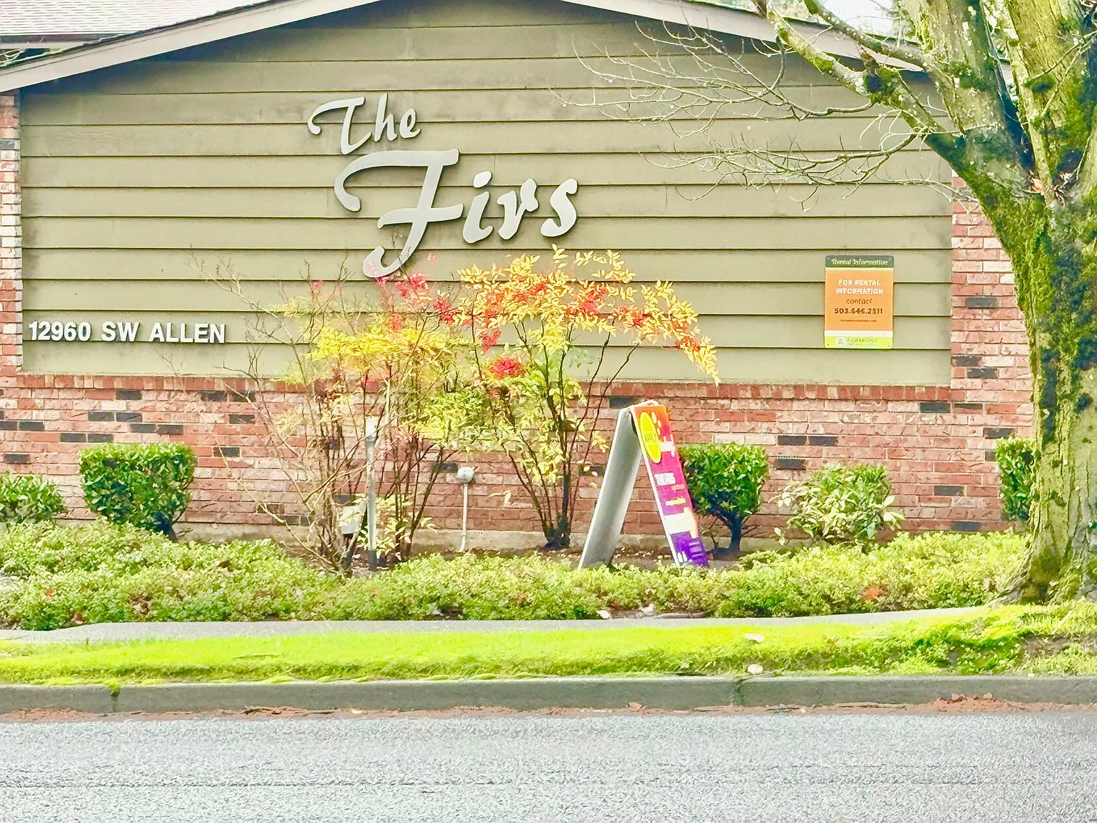 The Firs — Photo 3