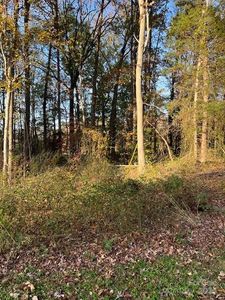 191 Wildwood Loop, Statesville, NC, 28625