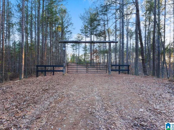 0 Smith Rd #0, Oneonta, AL 35121