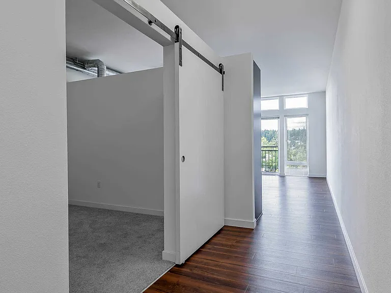 Interiors with Barn Doors and Hard Surface Flooring