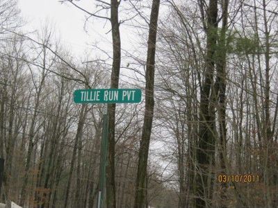 3145 Tillie Run NE, Cedar Springs, MI, 49319