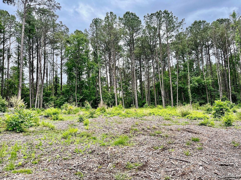 1st image of 2367 Mitchell Creek Rd