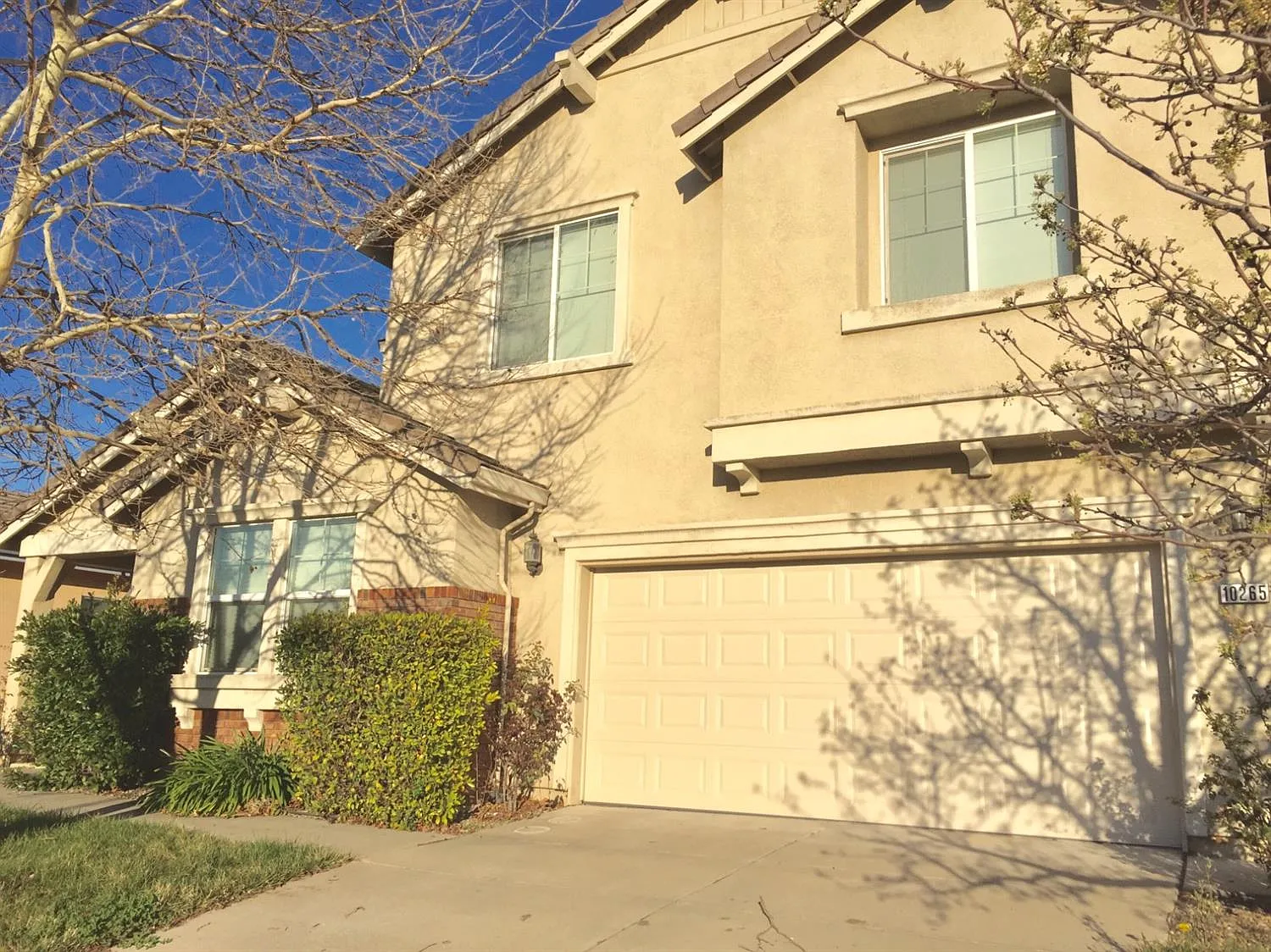 10265 Frank Greg Way photo 1