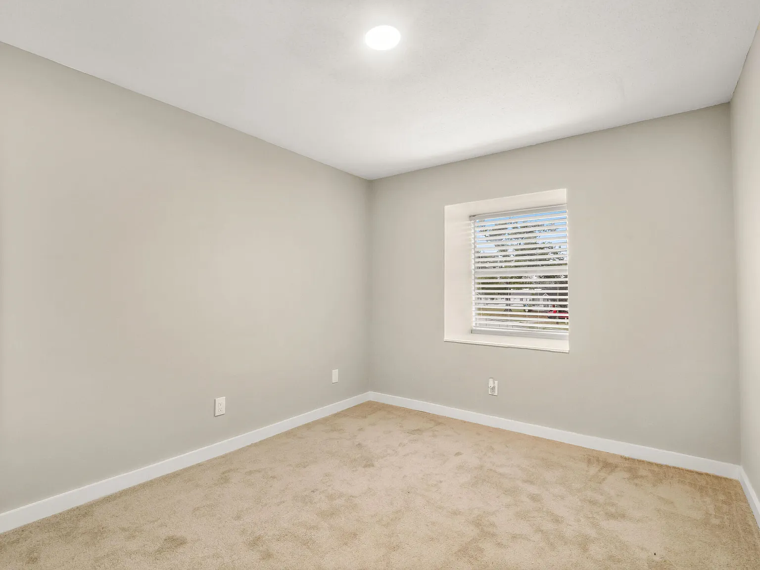 Chandler — Photo 4