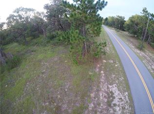 12646 S Old Jones Rd, Floral City, FL 34436
