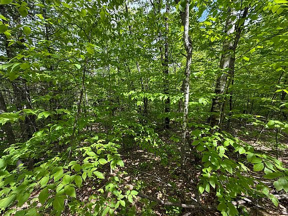 2nd image of R6L9 Dickey Mills Road