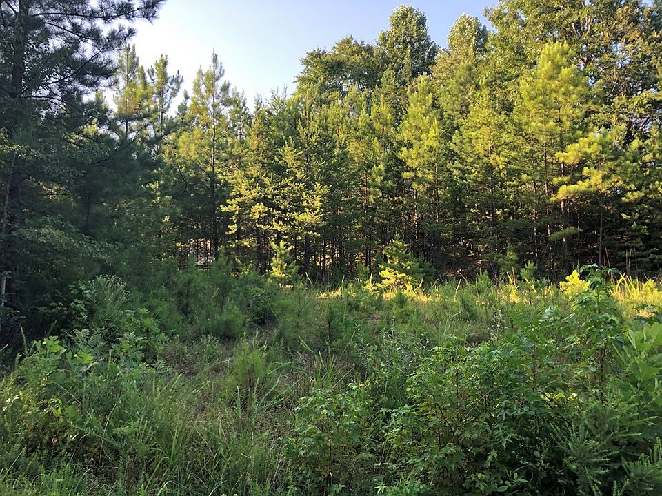 2nd image of 520 Killion Dr