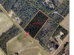 Old Charleston Rd, Pelion, SC 29123