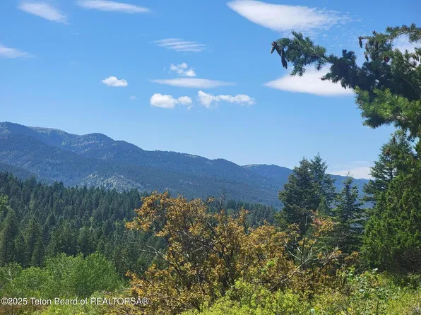 L25b3 Cutthroat Run, Irwin, ID 83428