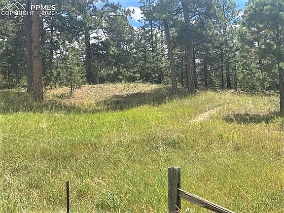5th image of 145 Paradise Cir