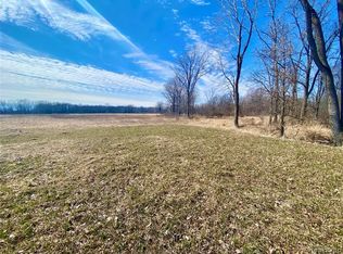 0 Iosco Rd, Webberville, MI 48892