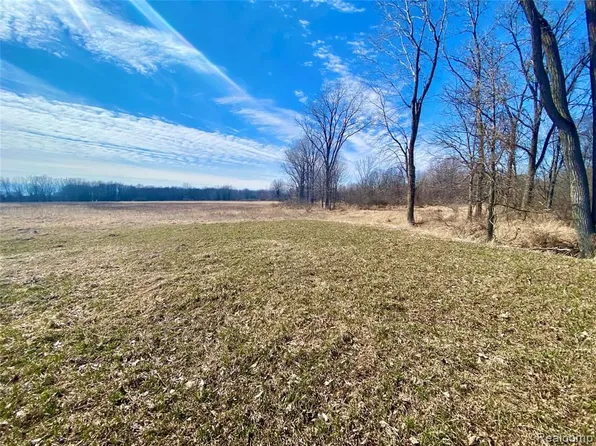 0 Iosco Rd, Webberville, MI 48892