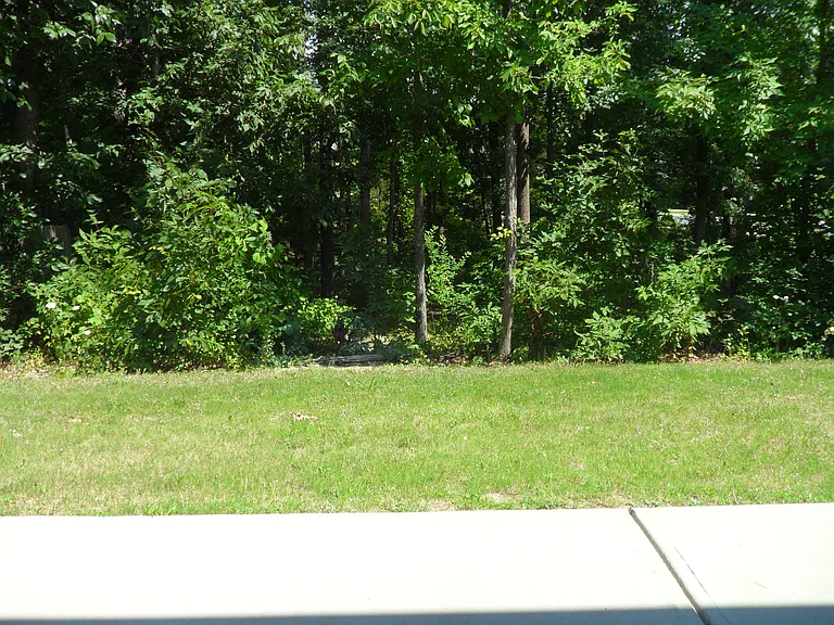 1239 Harkey Creek Dr — Photo 19