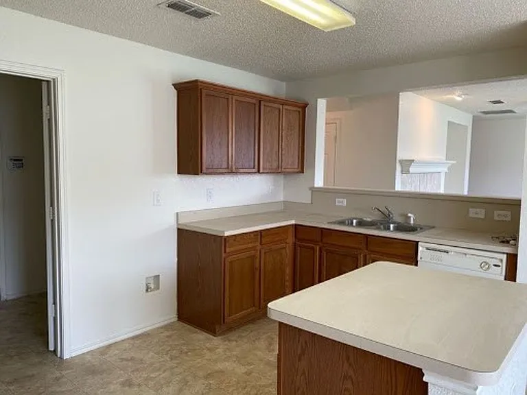 1101 Mustang Ridge Dr — Photo 12