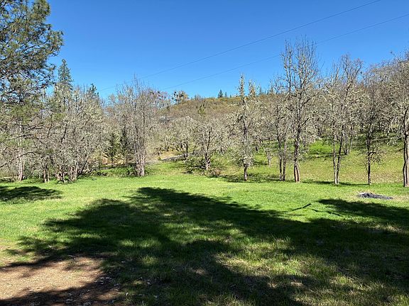 5th image of 1237 Daisy Creek Rd