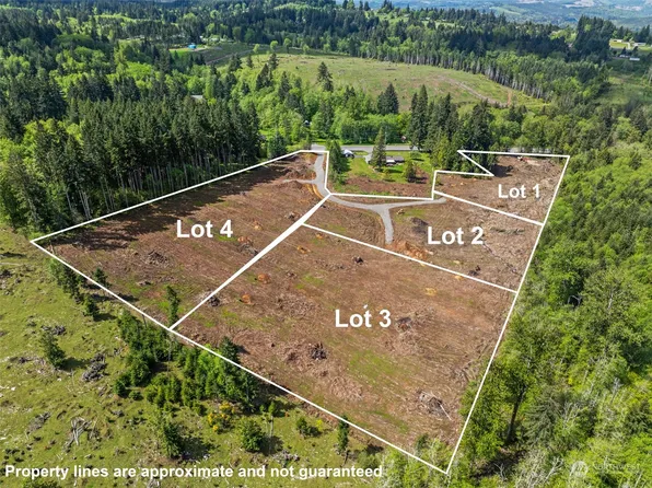 0 Spirit Lake Highway Lot 4, Castle Rock, WA 98611