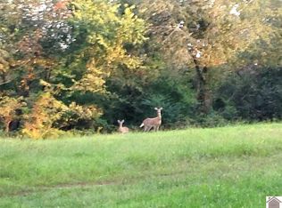 970 Macedonia Church Rd, Mayfield, KY 42066