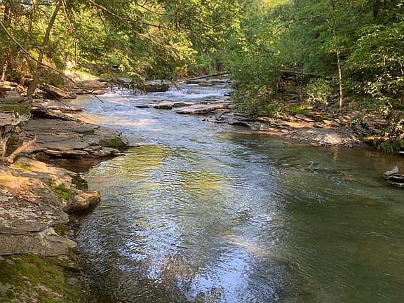 This is the Sawkill Creek, which runs through the estate