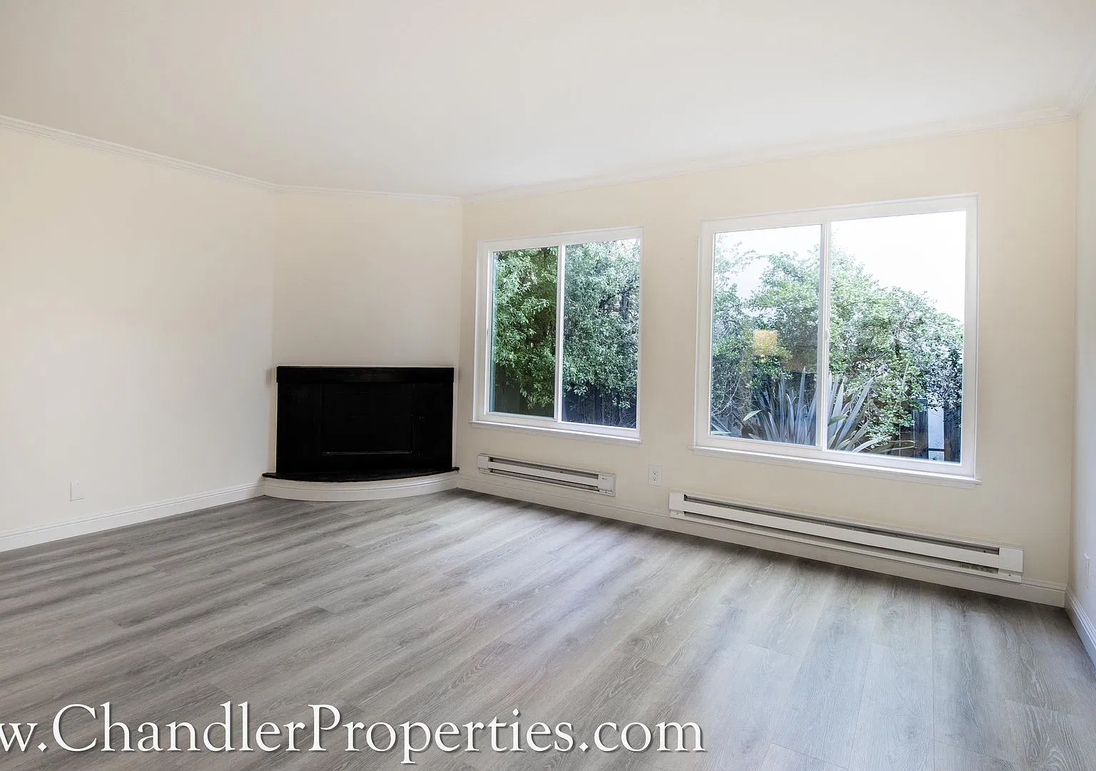 2642 Van Ness Avenue — Photo 3