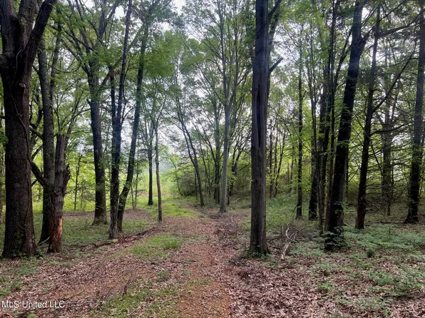 107 Cherrydale Dr #4, Coldwater, MS 38618