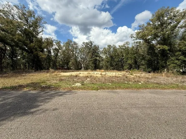5 Fisher Lane Crse, Ocklawaha, FL 32179