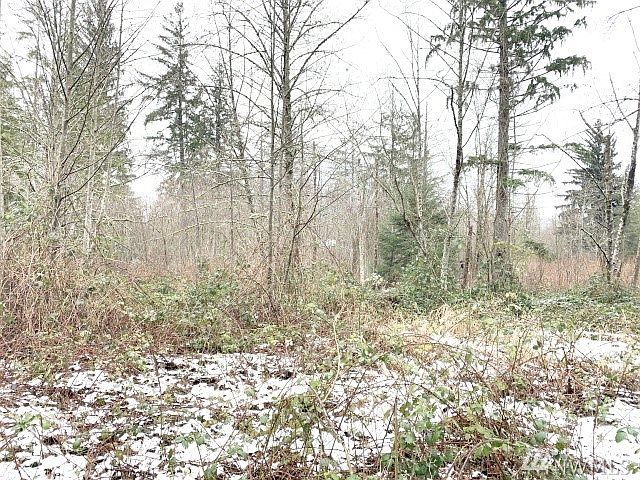 1st image of 41618 SE 141st St