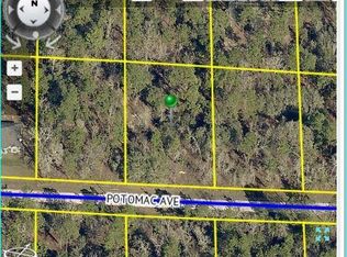 13311 Potomac Ave, Weeki Wachee, FL 34614