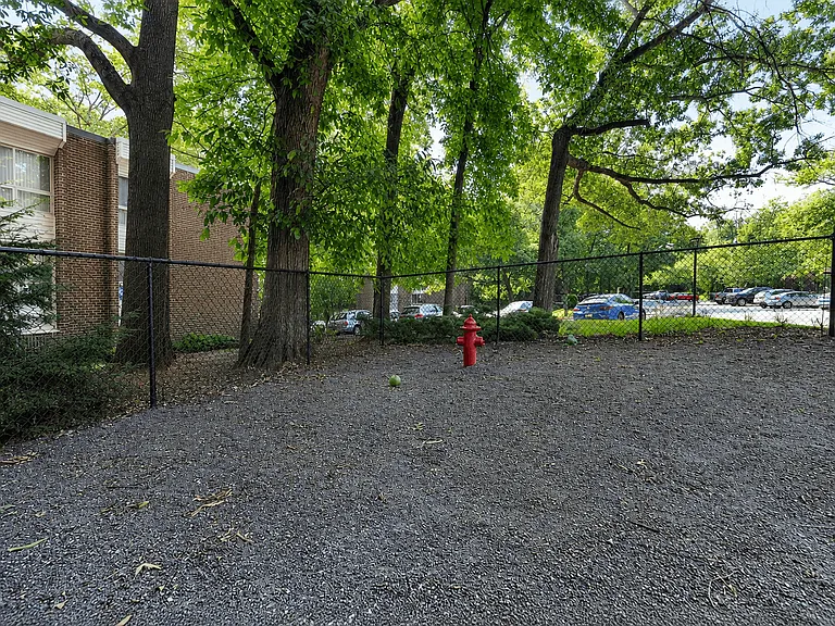 The Forest Apartments — Photo 30