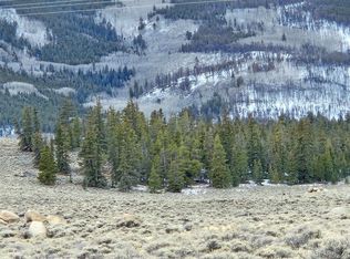 Parcel 11, Tract 11, Twin Lakes, CO 81251