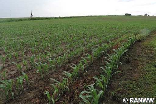 2nd image of N1523 Hwy D