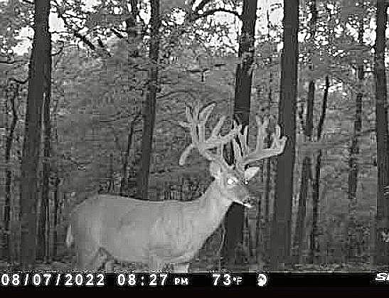 1st image of 29631 Highway 112
