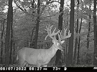 29631 Highway 112, Seligman, MO 65745