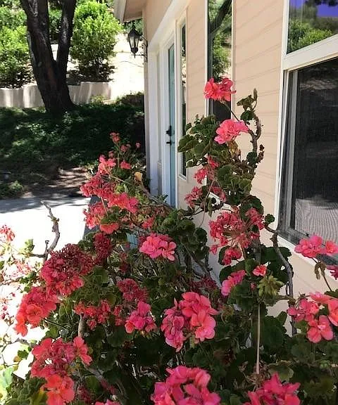 6933A Solano Verde Dr — Photo 10