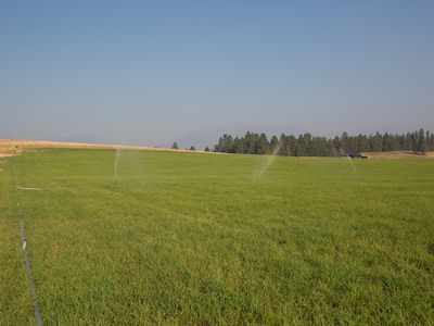1018 Majestic Pine Pl, Stevensville, MT, 59870