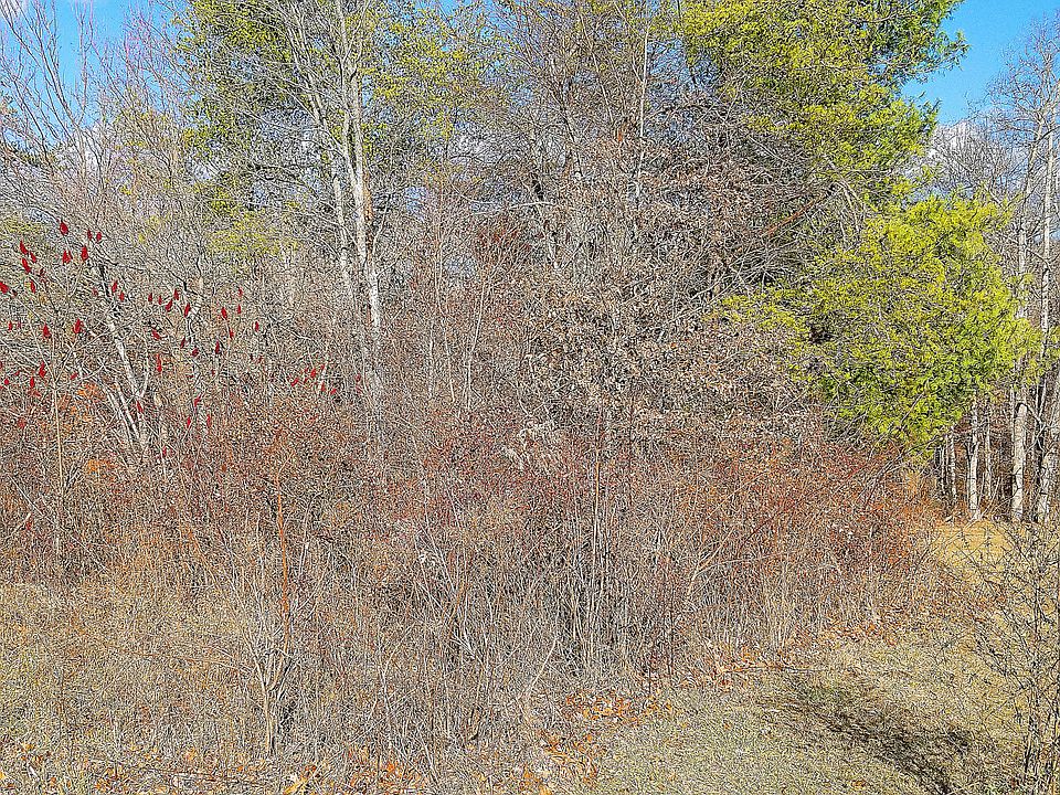 1st image of E Deer Creek Dr