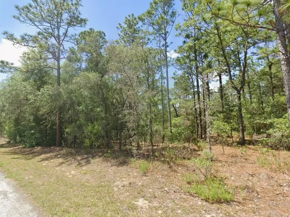 2795 W Rutland Dr, Citrus Springs, FL 34433