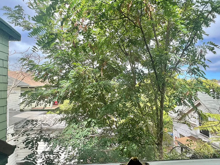 placement-1423Central — Photo 20